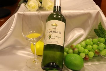 代理什么法國進口紅酒品牌