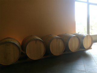 現在代理紅酒的利潤一般是多少